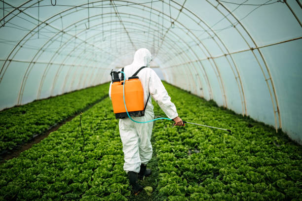 Best Ant Control Services  in Wmette, IL