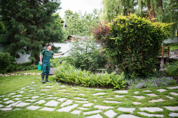 Best Commercial Pest Control Services  in Wmette, IL