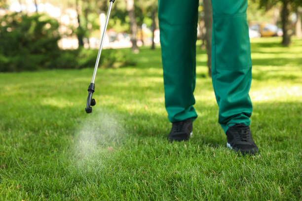 Pest Prevention Services in Wilmette, IL