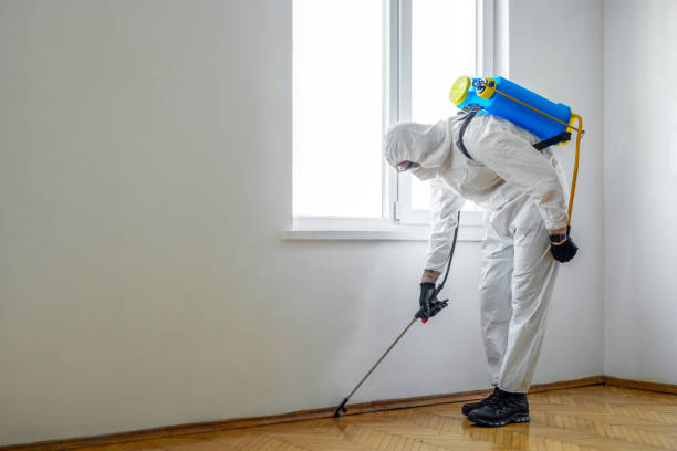 Best Flea Control Services  in Wmette, IL