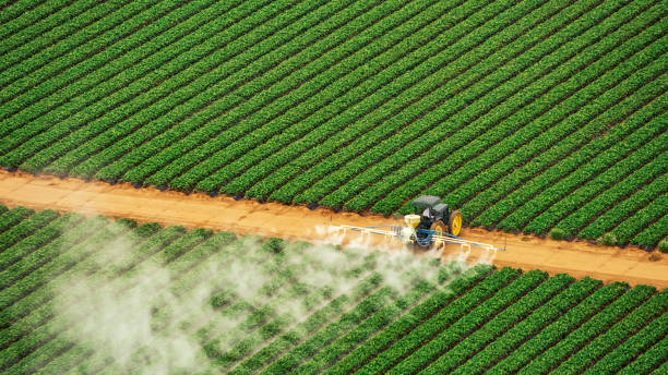 Best Pest Prevention Services  in Wmette, IL