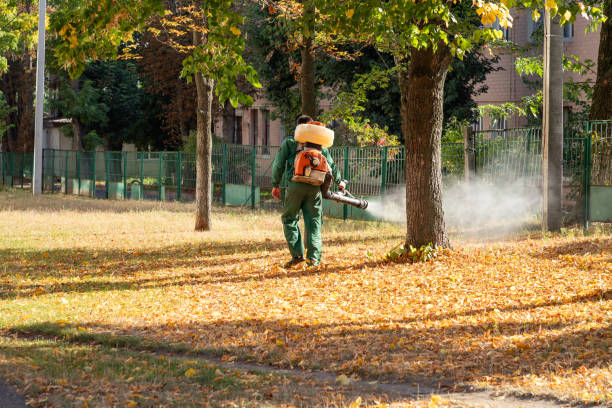 Best Pest Control Near Me in Wilmette, IL
