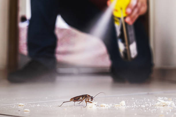 Best Pest Prevention Services  in Wmette, IL