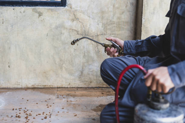 Reliable Wilmette, IL Pest Control Solutions