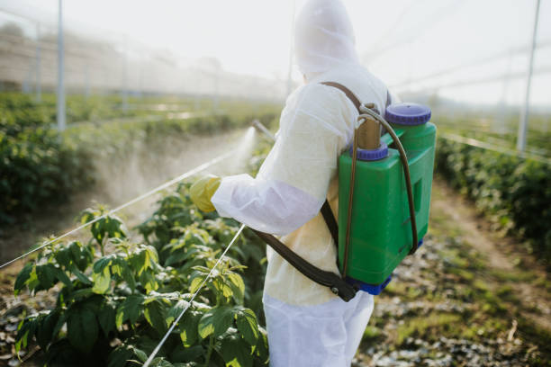 Best Best Pest Control Companies  in Wmette, IL